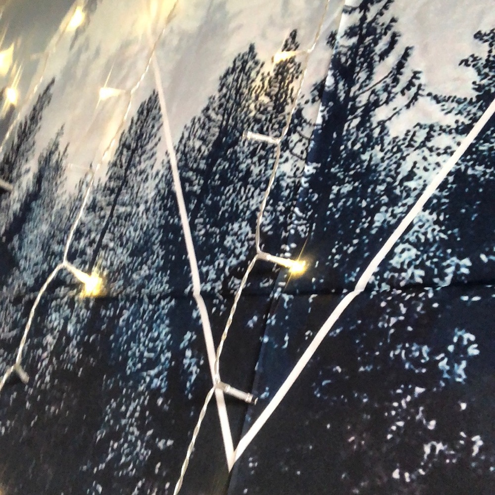 Meet your Posher, Addie